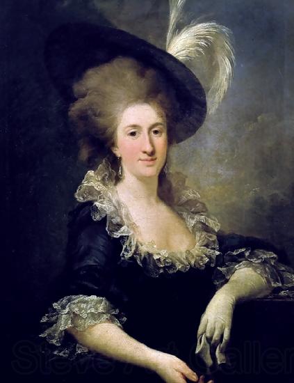 Marcello Bacciarelli Portrait of Anna Teofila Potocka France oil painting art